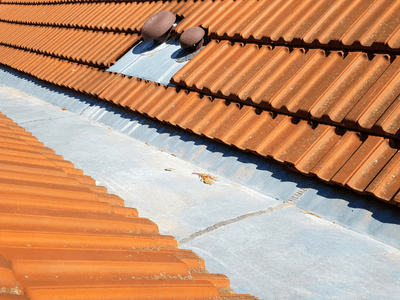 About Leaking Skylight Repair Pros Bloomfield, NE